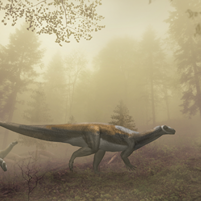 An image of a dinosaur walking through a misty forest. 